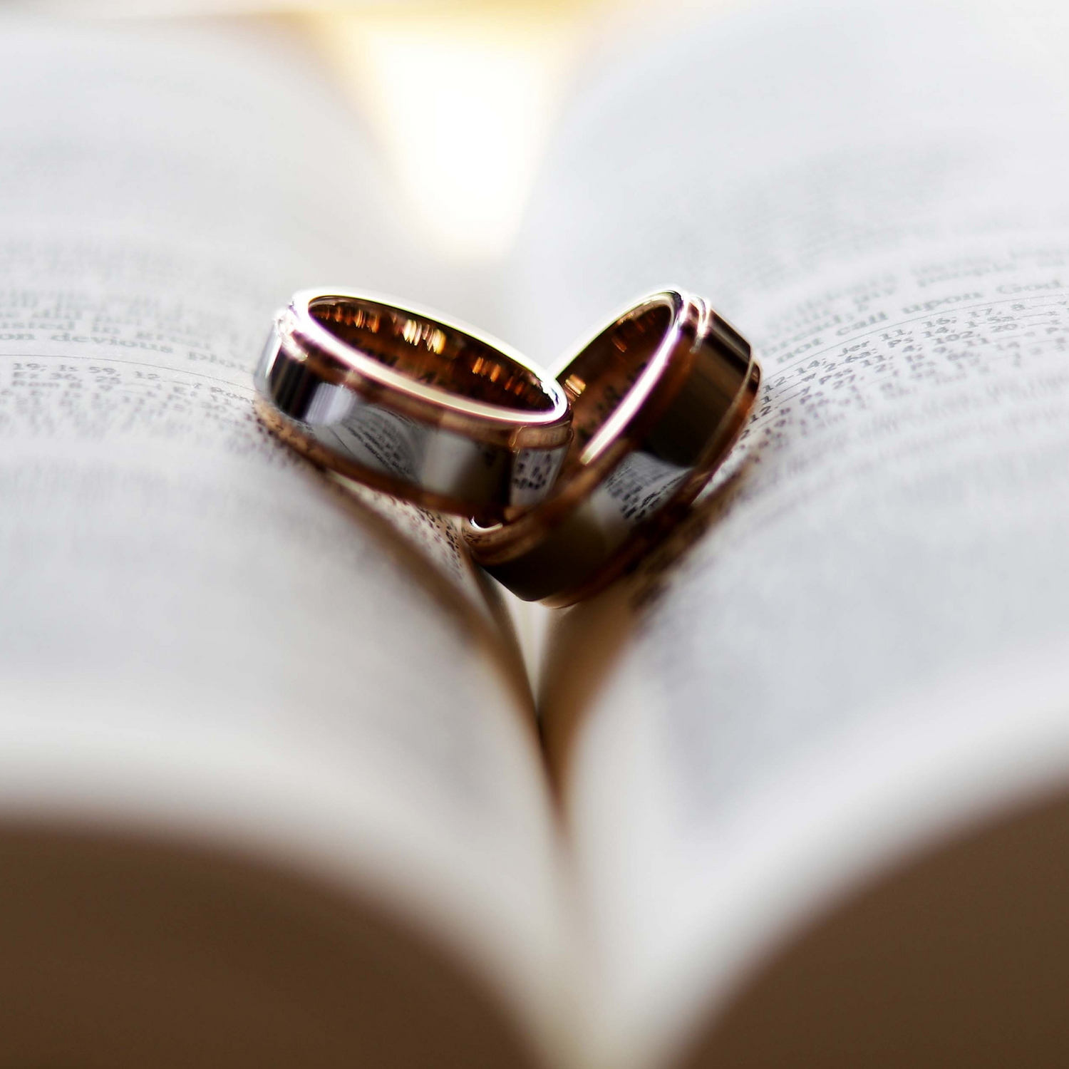 Men's Rings